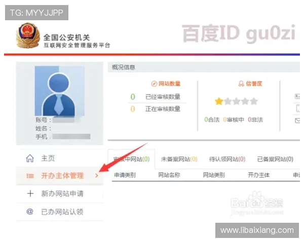 玩转大阳城平台网页版：新手用户必知的技巧与攻略