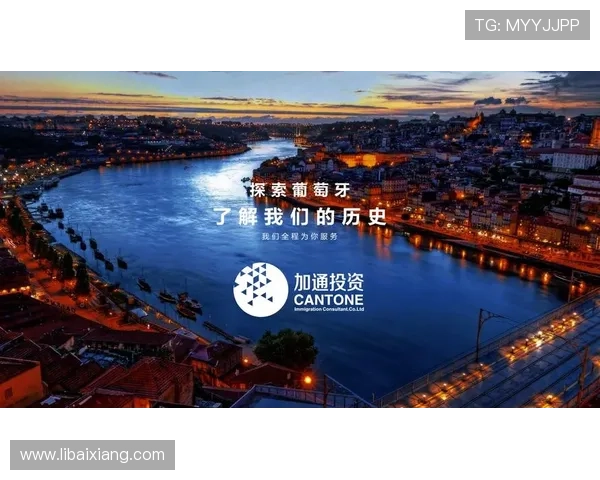 新濠集团财务状况与盈利能力分析为投资者提供专业的财务数据参考与风险评估